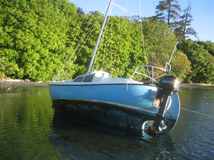 gal/2006-05-05 Careening/IMG_3117.jpg